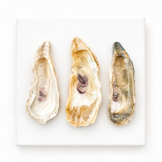 Oyster Row
