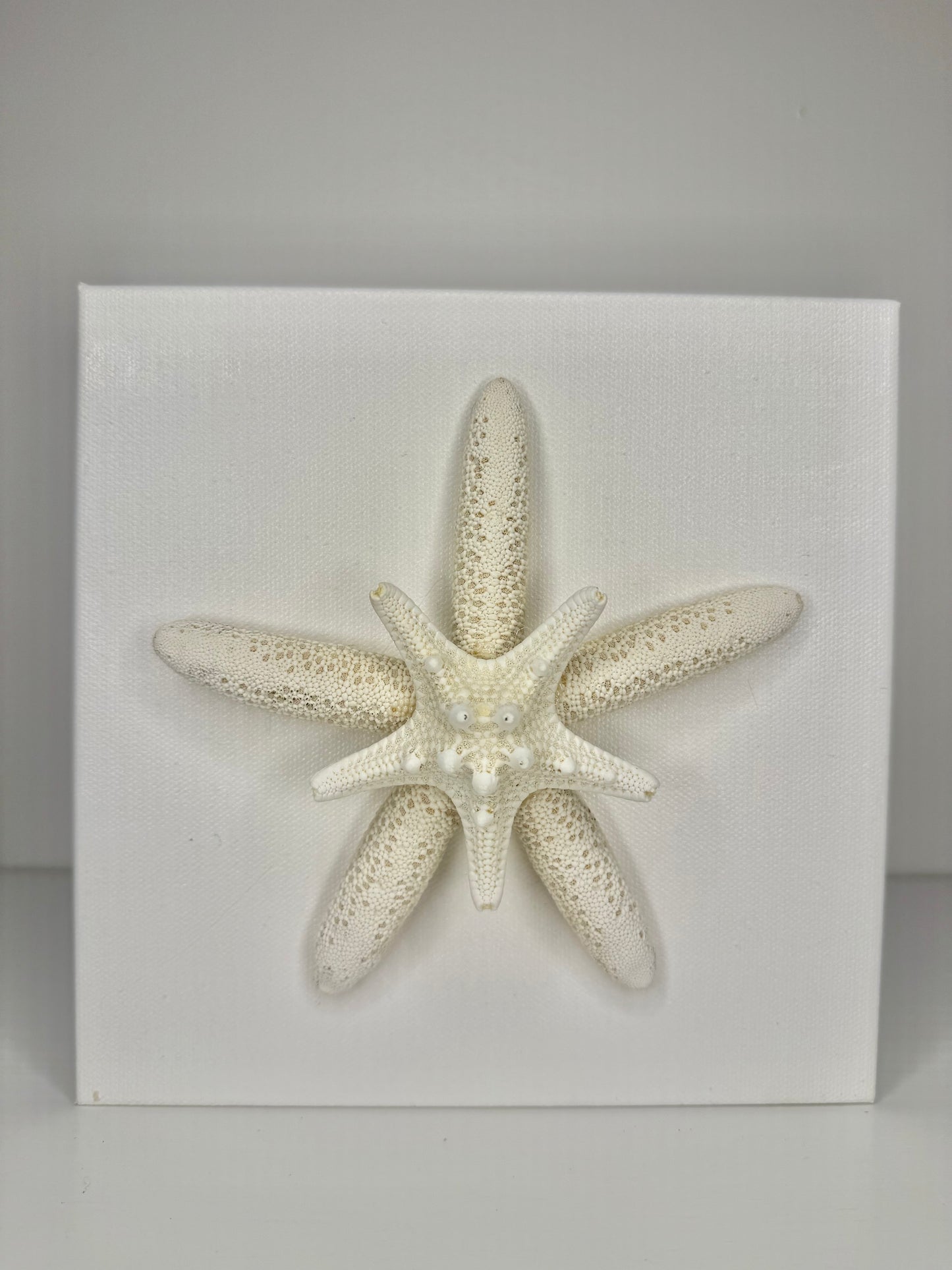 Star of the Shore