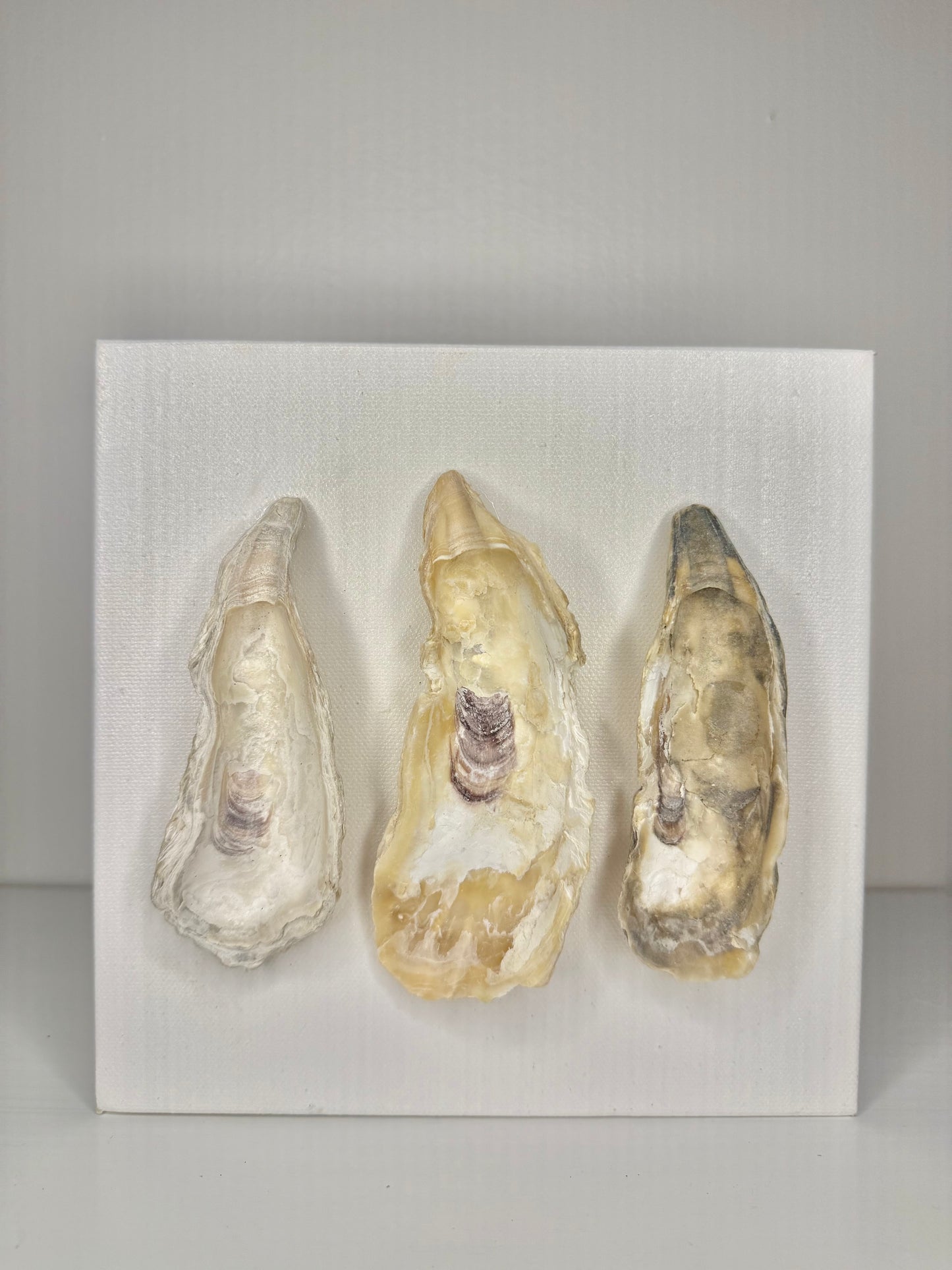Oyster Row